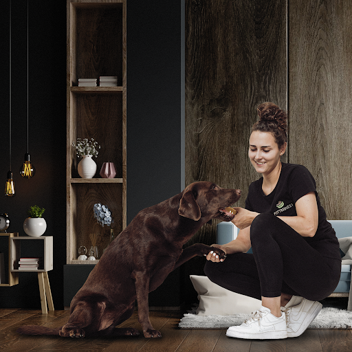 Futternest Online Shop unter Waldmohr, 