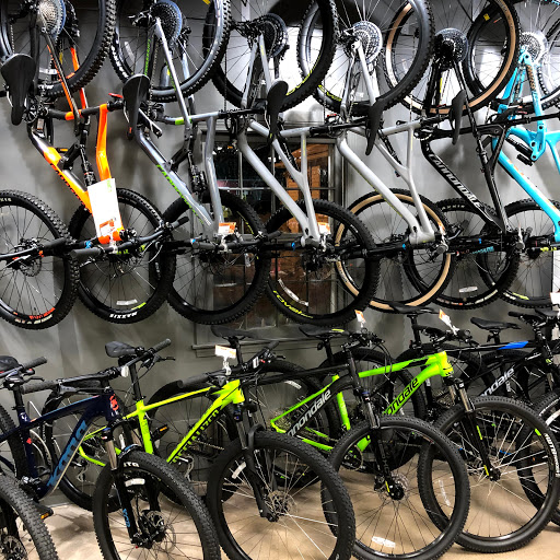 Bicycle Store «New England Bike & Scuba», reviews and photos, 526 College Hwy, Southwick, MA 01077, USA
