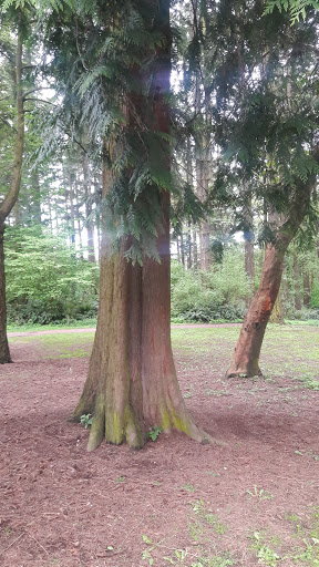 Park «Northacres Park», reviews and photos, 12718 1st Ave NE, Seattle, WA 98125, USA