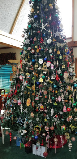 Transmission Shop «Kenny Robbins Transmission», reviews and photos, 3933 Co Rd 16, Jones, AL 36749, USA