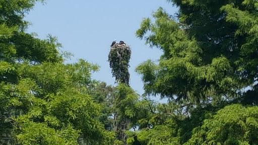 Golf Club «Manatee County Golf Course», reviews and photos, 6415 53rd Ave W, Bradenton, FL 34210, USA