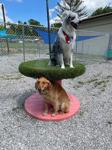 Tri County Pet Resort