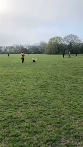 Reviews of Off-Leash K9 Training London in Swansea - Dog trainer
