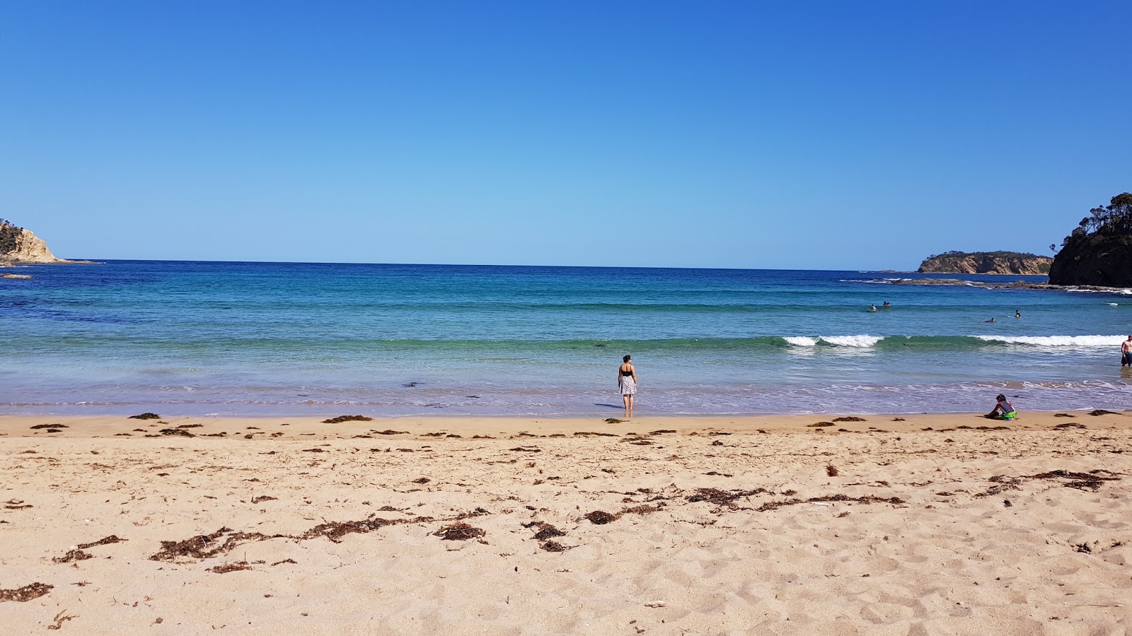 Mckenzies Beach的照片 带有碧绿色纯水表面