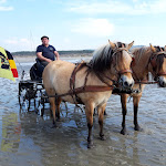 Photo n° 3 de l'avis de Lorette.a fait le 10/09/2020 à 22:49 pour Plage de Merlimont à Merlimont