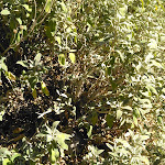 Photo n°9 de l'avis de Arianna.c fait le 23/08/2016 à 17:33 sur le  Agriturismo Via Del Campo à Pianella