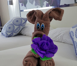 Hotel Riu Playacar photo