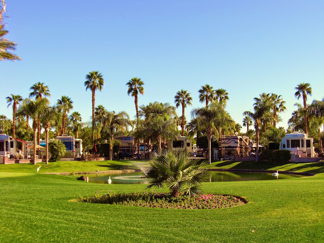 Outdoor Resort Palm Springs