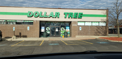 Dollar Store «Dollar Tree», reviews and photos, 4101 Dempster St, Skokie, IL 60076, USA