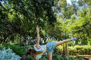 Yoga Avec Amélie Professor Yoga À Nîmes image