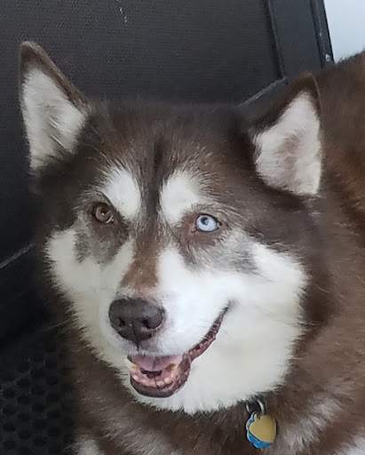 275 Boston Post Rd E, Marlborough, MA 01752, USA