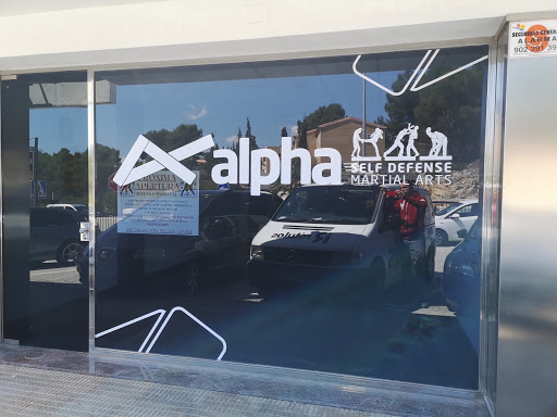 Alpha Self Defense - Paseo Carretera, 75, 03580, Alicante