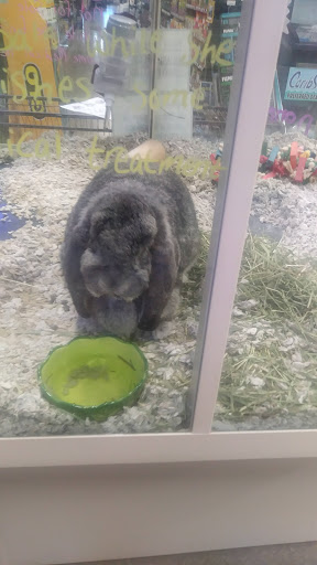 Pet Supply Store «Premier Pet Supply», reviews and photos, 31215 Southfield Rd, Beverly Hills, MI 48025, USA