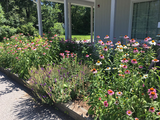 Pet Supply Store «Pet Country», reviews and photos, 6830 U.S. 9, Rhinebeck, NY 12572, USA