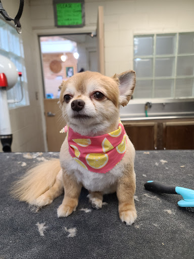 Riverbanks Grooming Boutique