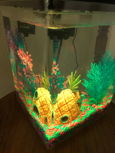 Pet Supply Store «Pet Supplies Plus», reviews and photos, 1937 FL-60, Valrico, FL 33594, USA