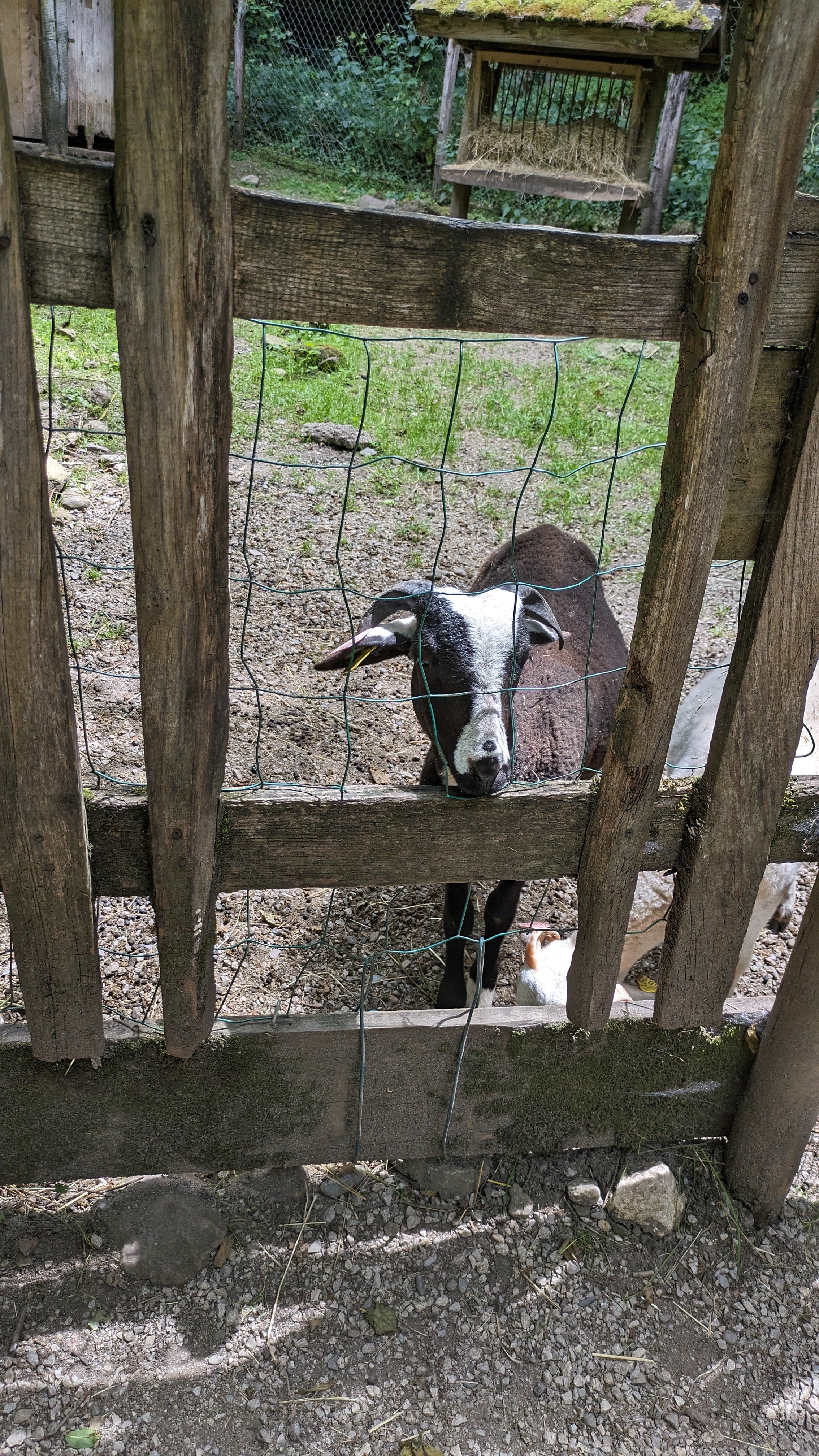 Photo n° 7 de l'avis de Dada.e fait le 15/08/2023 à 12:32