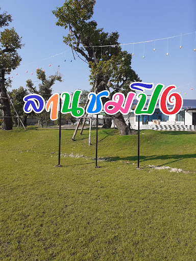 National Park «Shenandoah National Park», reviews and photos