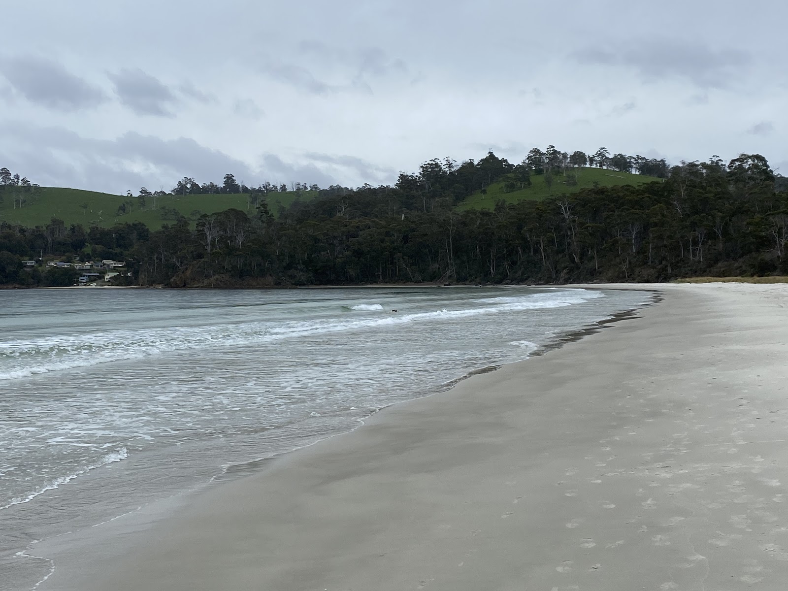 Little Roaring Bay Beach的照片 带有宽敞的海岸