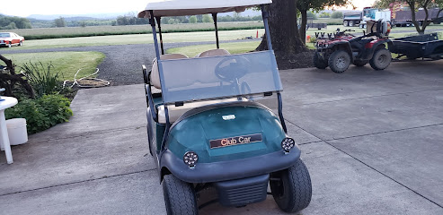 Action Golf Cars & Utility Vehicles
