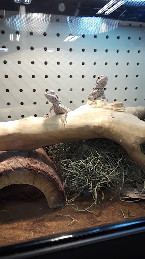 Pet Supply Store «PetSmart», reviews and photos, 476 Corwin Nixon Blvd, South Lebanon, OH 45065, USA