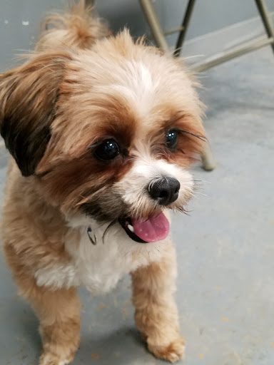 Tropical Fish Store «Pet Friendly Inc», reviews and photos, 845 Manitou Rd, Hilton, NY 14468, USA