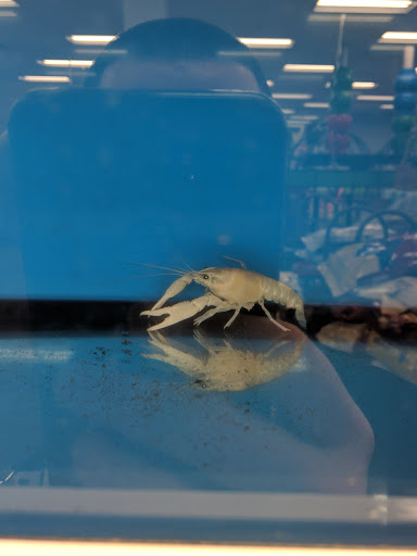 Pet Supply Store «Petco Animal Supplies», reviews and photos, 2752 Veterans Rd W, Staten Island, NY 10309, USA