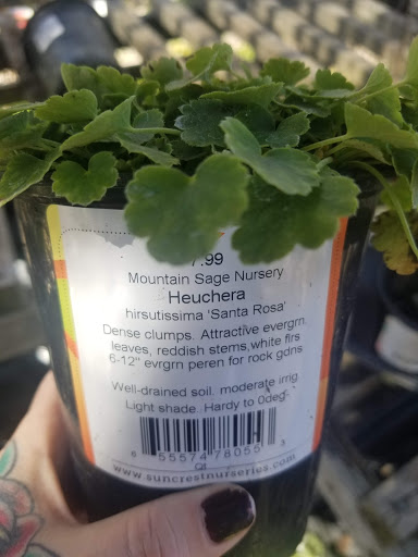 Coffee Shop «Mountain Sage», reviews and photos, 18653 Main St, Groveland, CA 95321, USA