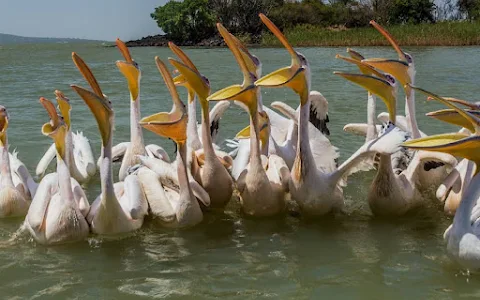 Lake Tana image