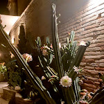 Photo n°3 de l'avis de Stefania. fait le 03/09/2023 à 22:51 sur le  Ristorante Mezzo Baiocco à Campocavallo