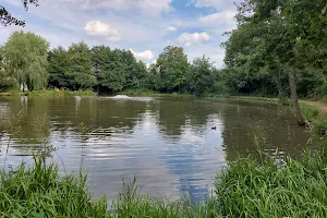 Kneipp-Kurpark am Teich image