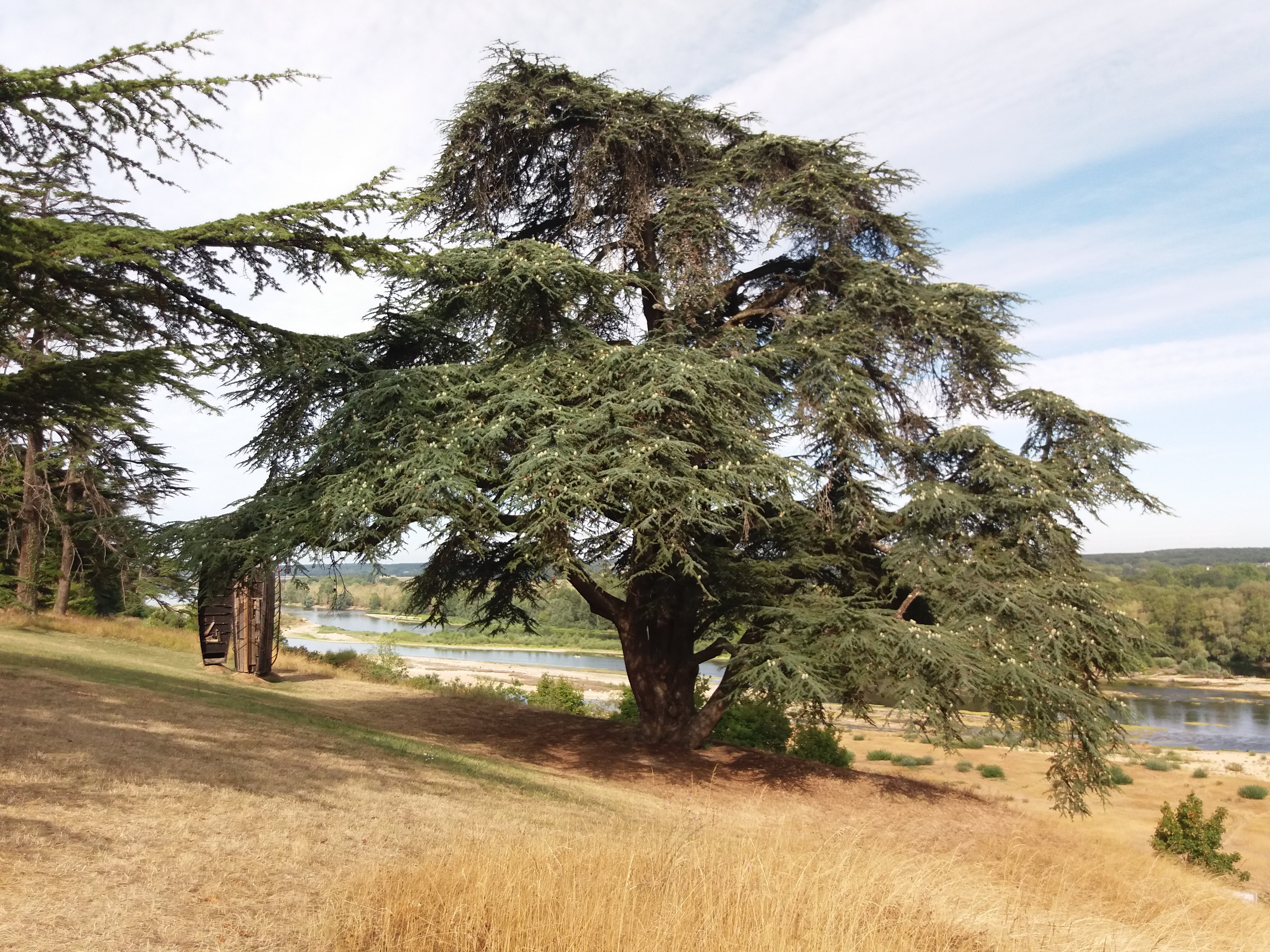 Photo n° 13 de l'avis de Pascaly.a fait le 14/08/2019 à 14:23