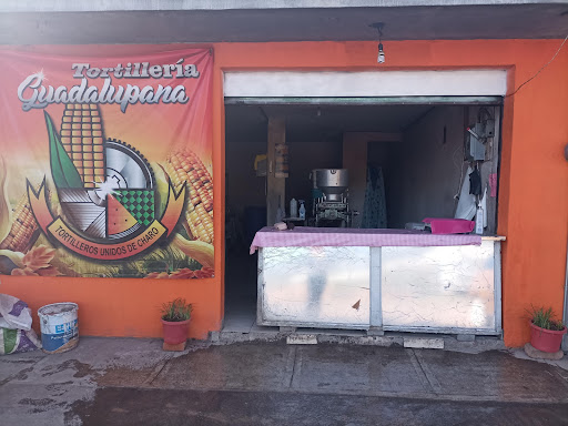 Tortillería de tortillas y molino de nixtamal 