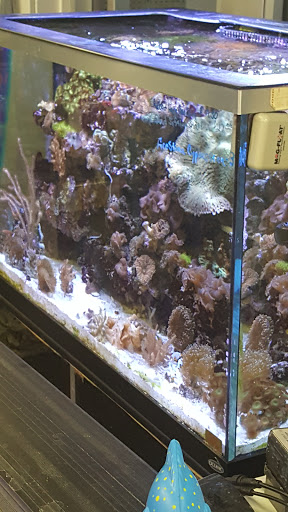 Pet Store «Pet Haven Pet Shop», reviews and photos, 19 US-6, Valparaiso, IN 46385, USA