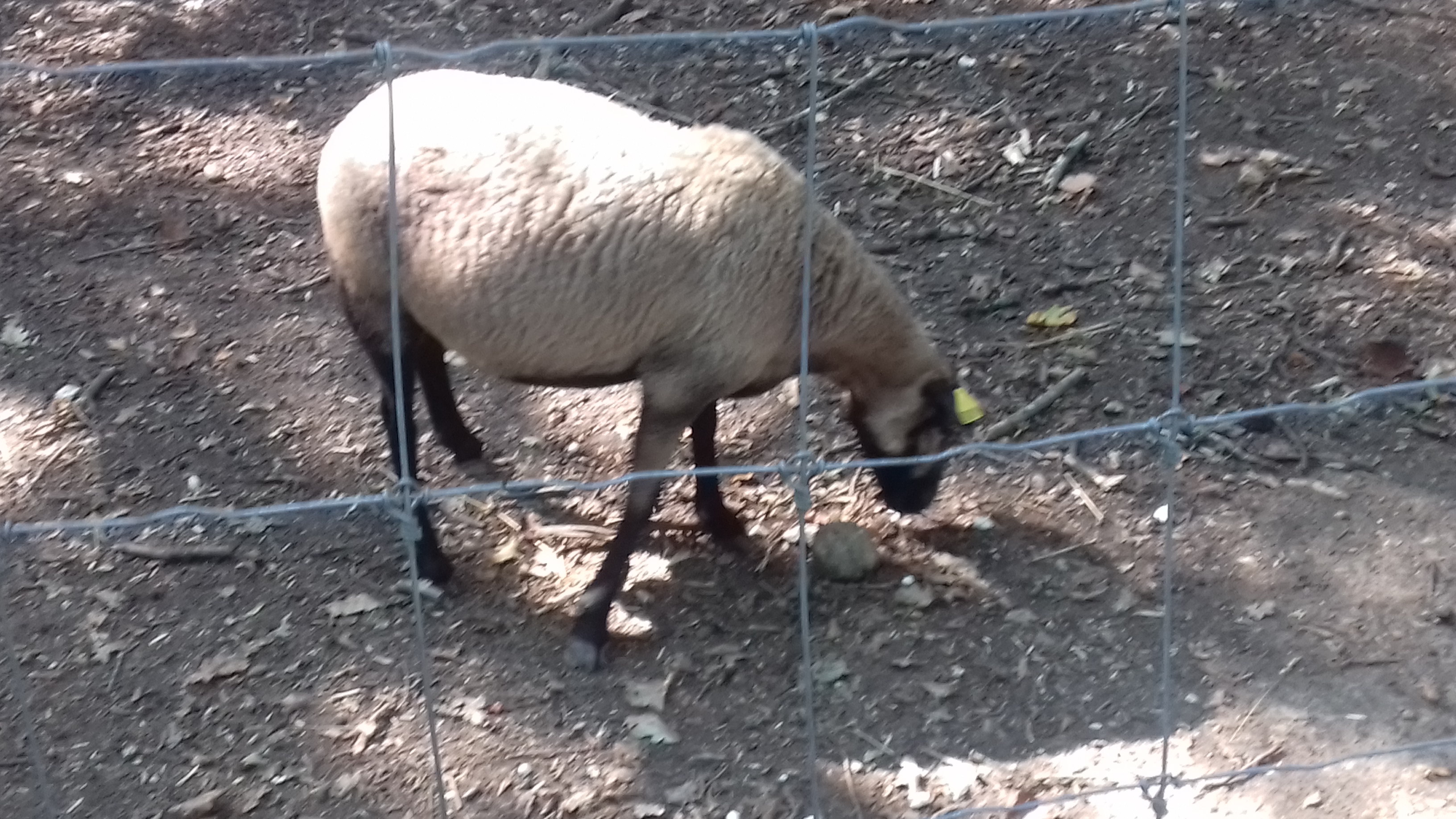 Photo n° 12 de l'avis de Laurent.o fait le 20/08/2018 à 10:25