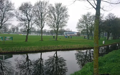 School garden Osdorp image