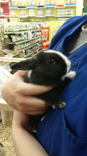 Pet Supply Store «Pet Supermarket», reviews and photos, 7822 Gall Blvd, Zephyrhills, FL 33541, USA