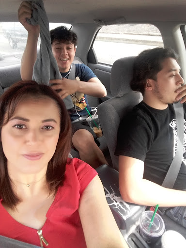 Pet Supply Store «Pet Supplies Plus», reviews and photos, 1411 S Stockton St, Lodi, CA 95240, USA