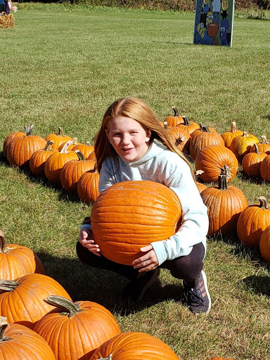 Greenhouse «Stiles Vegetable Farm and Greenhouse», reviews and photos, 11717 Sheridan Rd, Pleasant Prairie, WI 53158, USA