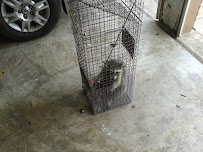 Target Pest Control - Photo 1 - Car repair in , McAllen