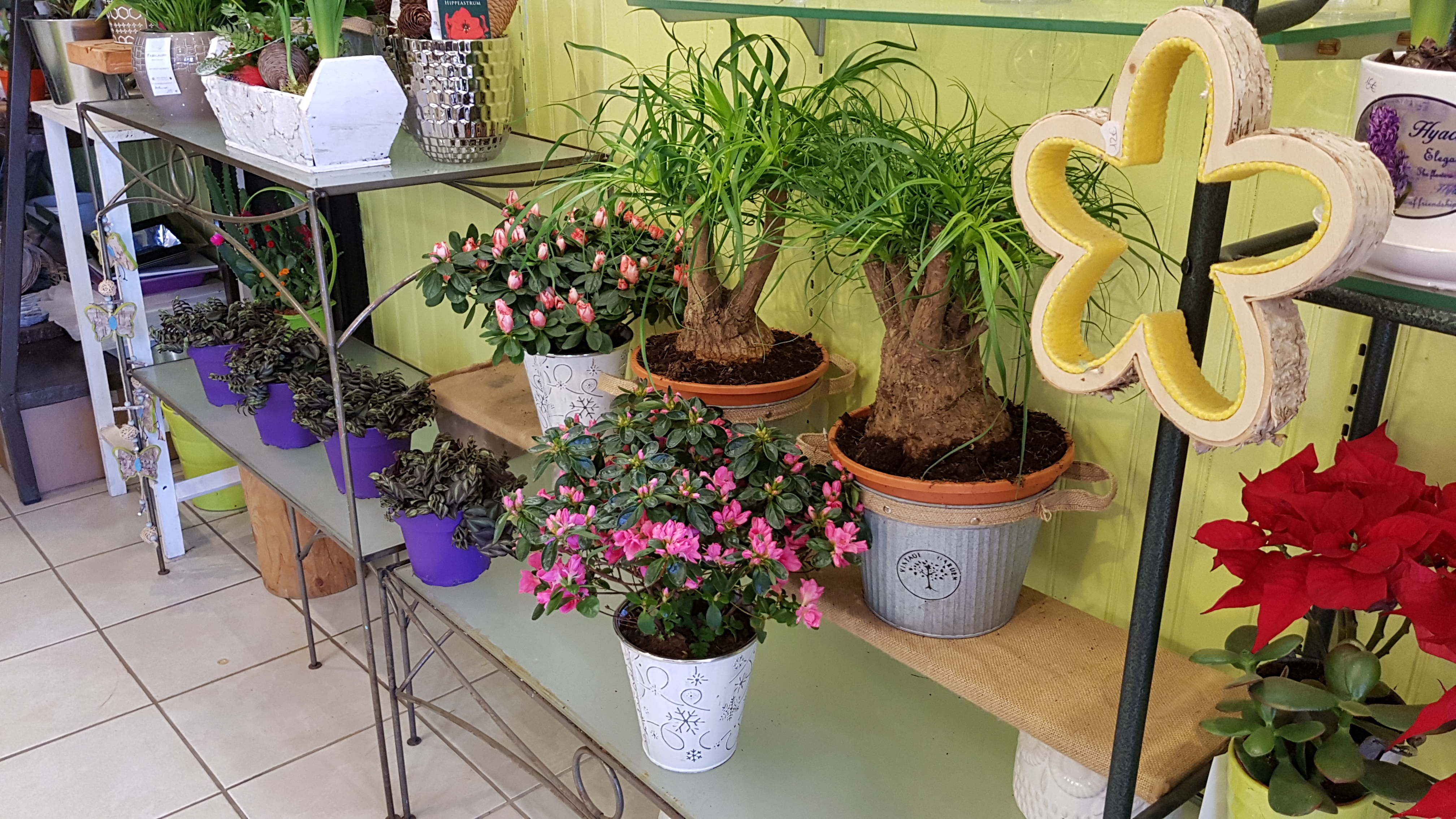 Photo n° 3 de l'avis de Don.i fait le 22/06/2018 à 00:18