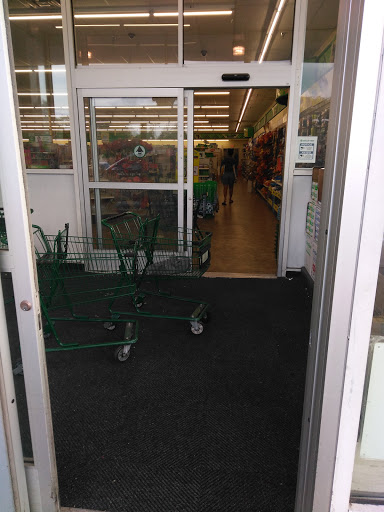 Dollar Store «Dollar Tree», reviews and photos, 1725 Dutch Broadway, Elmont, NY 11003, USA