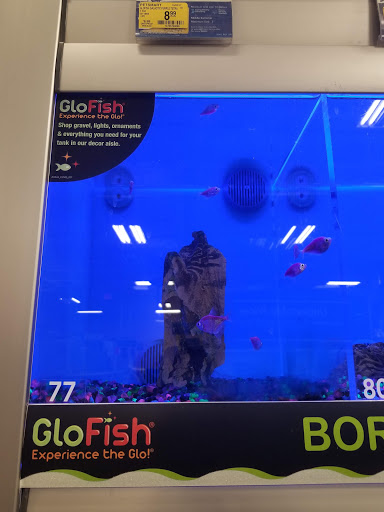 Pet Supply Store «PetSmart», reviews and photos, 98 Providence Hwy, East Walpole, MA 02032, USA