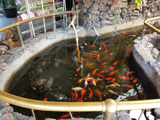 Car Wash «Pacific Car Wash Corporation», reviews and photos, 41080 Trimboli Way, Fremont, CA 94538, USA