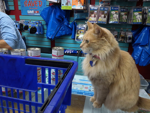 Pet Supply Store «Dogge Style Pets Passyunk», reviews and photos, 1700 E Passyunk Ave, Philadelphia, PA 19148, USA