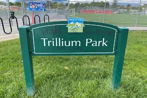 Trillium Park image