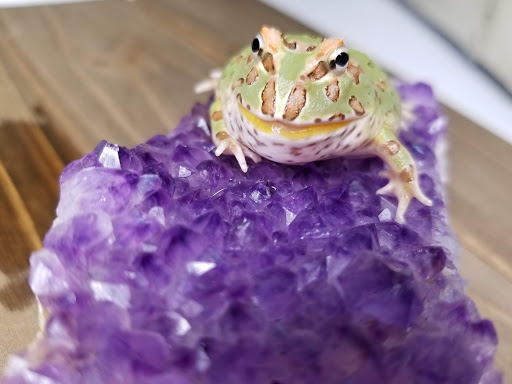 Shopping Mall «Hampton Plaza Shopping Center», reviews and photos, 4033 W Mercury Blvd, Hampton, VA 23666, USA