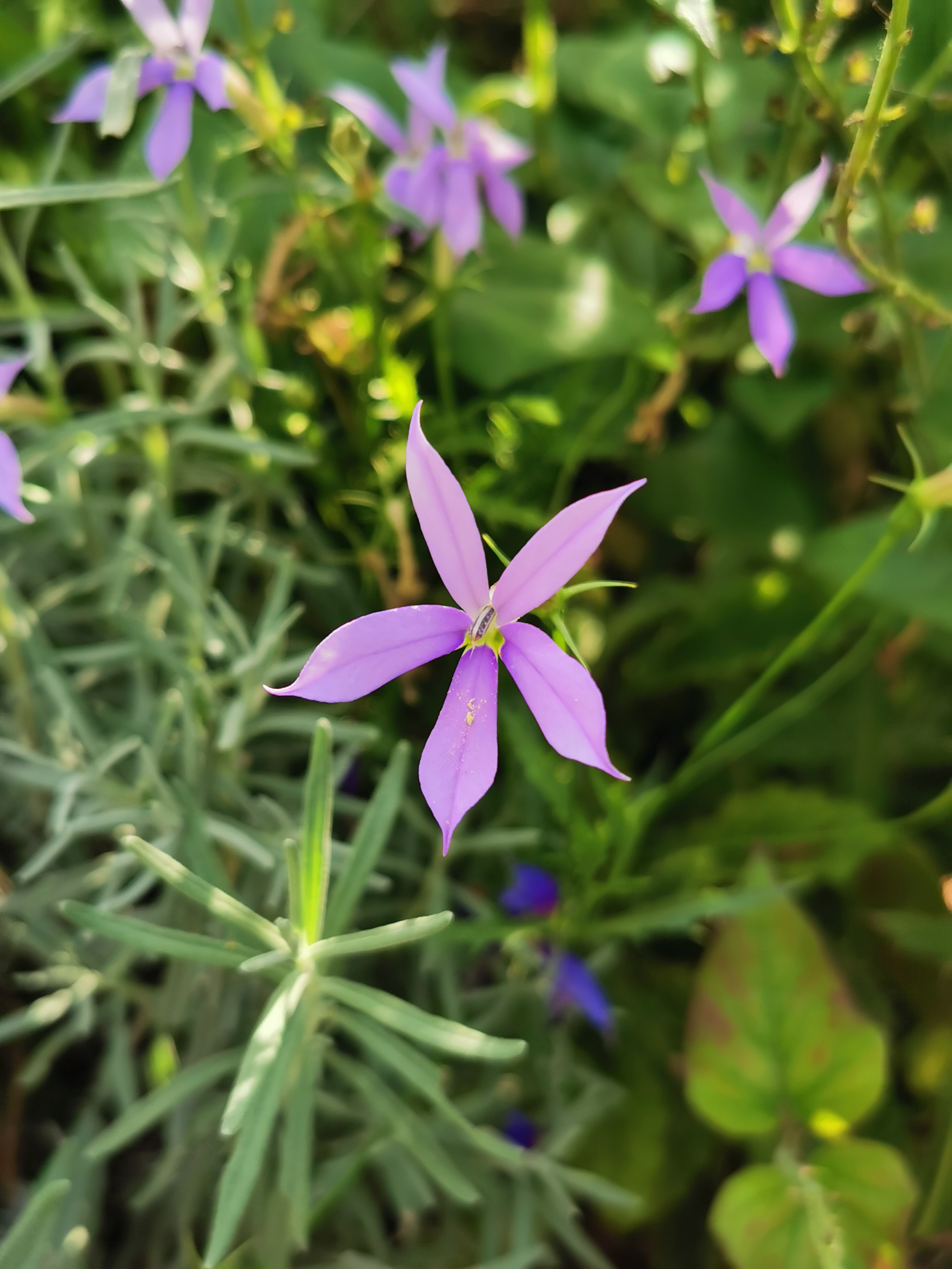 Photo n° 8 de l'avis de Sylvie.a fait le 22/08/2023 à 18:08