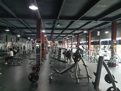 Great Fitness - Blvd. Rogelio Cantú Gómez 1000, Colinas de San Jerónimo, 64630 Monterrey, N.L., Mexico