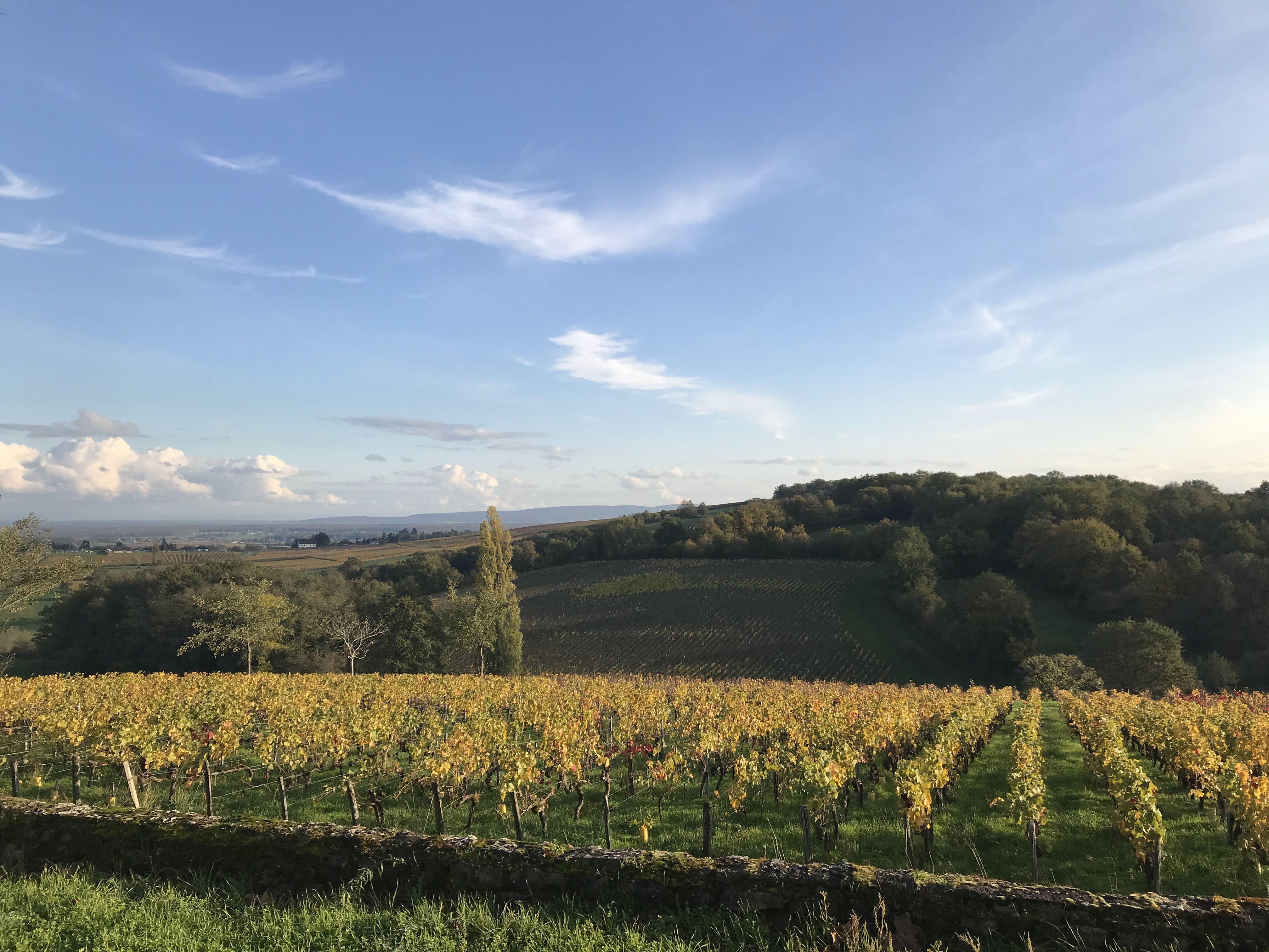 Photo n° 1 de l'avis de Vincent.u fait le 12/11/2019 à 08:50